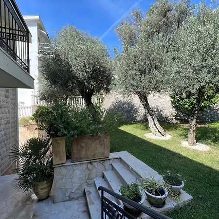 Olive Rezevici *
