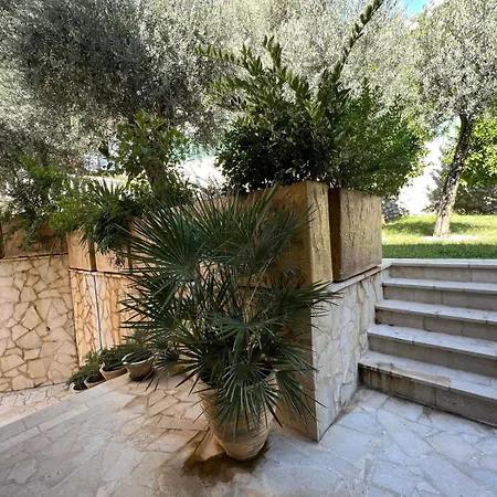 Olive Rezevici