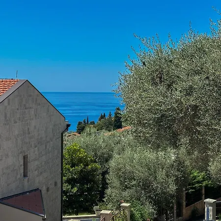 Affittacamere Olive Rezevici